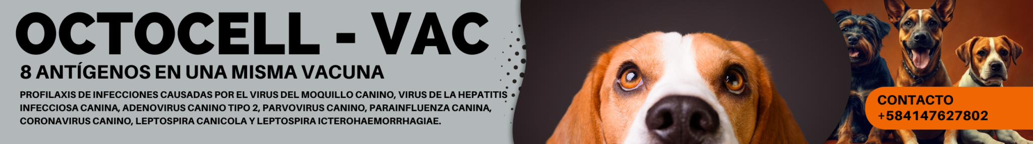 Copia de agropecuaria-tamboril-agricola-productos-veterinarios-distribucion-octocell-vac-hepatitis--venezuela